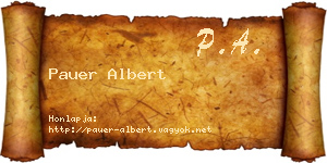 Pauer Albert névjegykártya