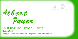 albert pauer business card